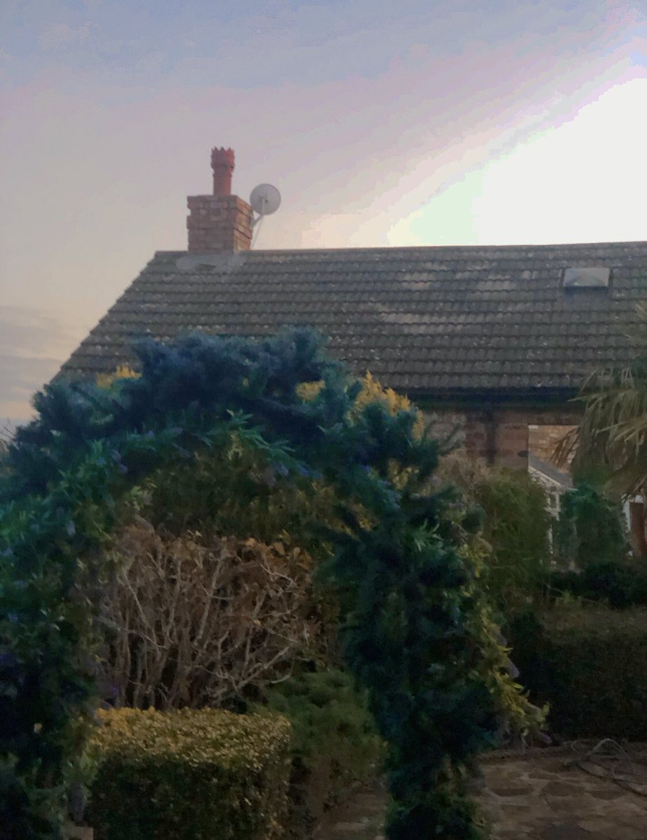 Lincoln_Retreat's tweet image. I did laugh whilst having morning coffee 
Retreat is having moss  cleaned of roof 
I’ve been left a smiley face for a couple of days 🏡😂 #mademelaugh #LincsConnect
#winterholiday2023 #selfcateringaccommodation #smile #LincolnHoliday