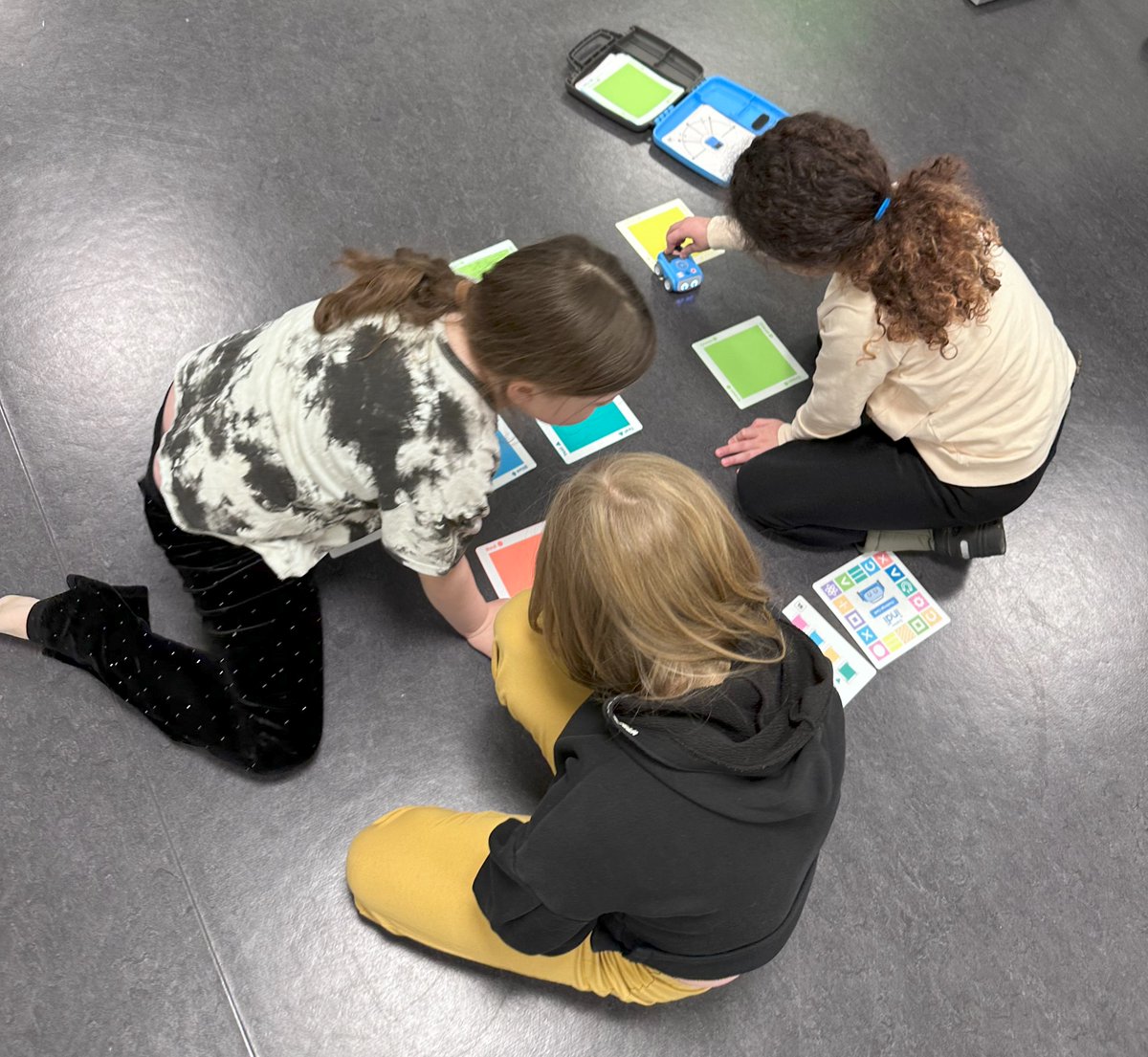 Berglind Þórisdóttir tweet media