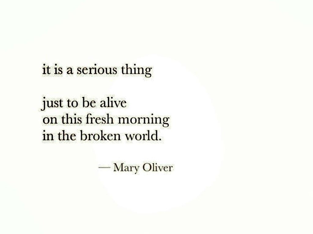 lenaozge's tweet image. Mary Oliver 🤍
