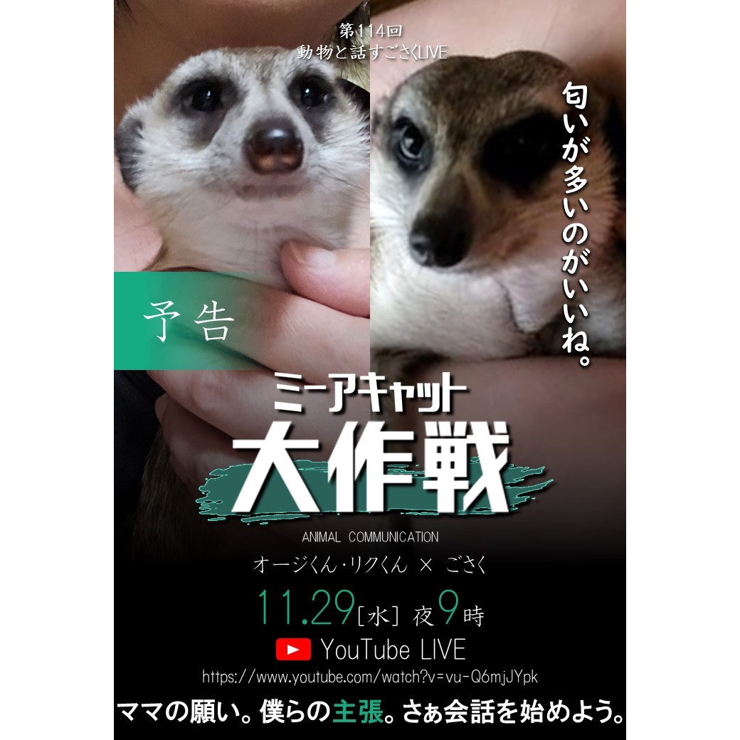ごさく on X: