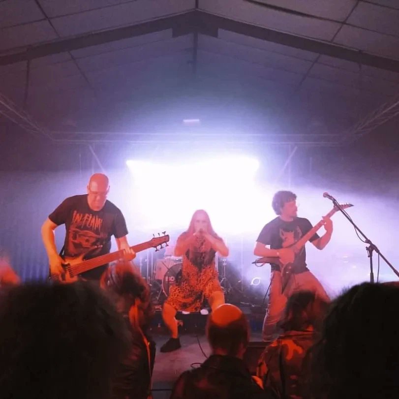 TerroRaze tweet media