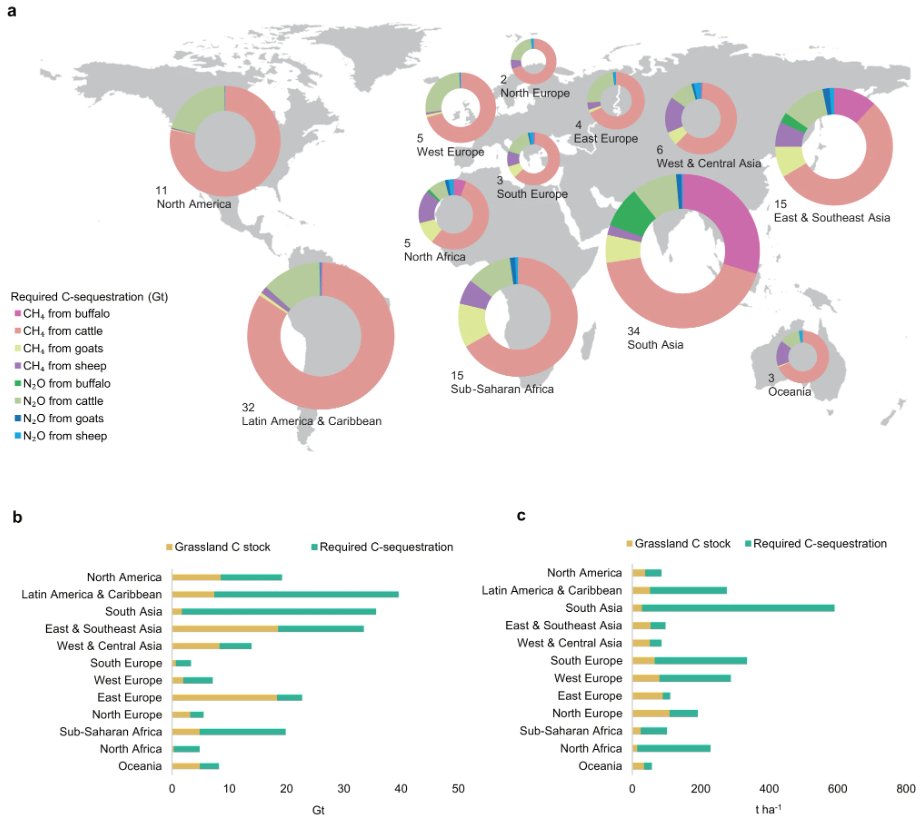 Nature Communications (@naturecomms) on Twitter photo Solely relying on soil #CarbonSequestration in grasslands to offset warming effect of #GHG emissions from current ruminant systems is not feasible according to work from <a href="/WURanimal/">WUR Animal Sciences</a> @systems_animal #ClimateMitigation
nature.com/articles/s4146… Solely relying on soil #CarbonSequestration in grasslands to offset warming effect of #GHG emissions from current ruminant systems is not feasible according to work from <a href="/WURanimal/">WUR Animal Sciences</a> @systems_animal #ClimateMitigation
nature.com/articles/s4146…