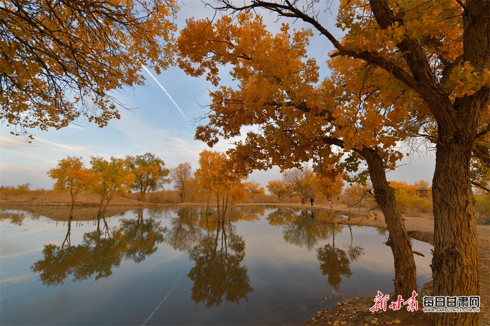 HiGansu's tweet photo. [Light and Shadow Vision] In late autumn, the golden touch of Populus euphratica forest in Dunhuang is really fascinating.🍂
#Chinagansushow  #Gansu #china #chinatravel 
#travelphotography #photographer #photography
#nature #naturebeauty #life #lifestyle
#Dunhuang #internetplus https://t.co/qfyaJc9VLI
