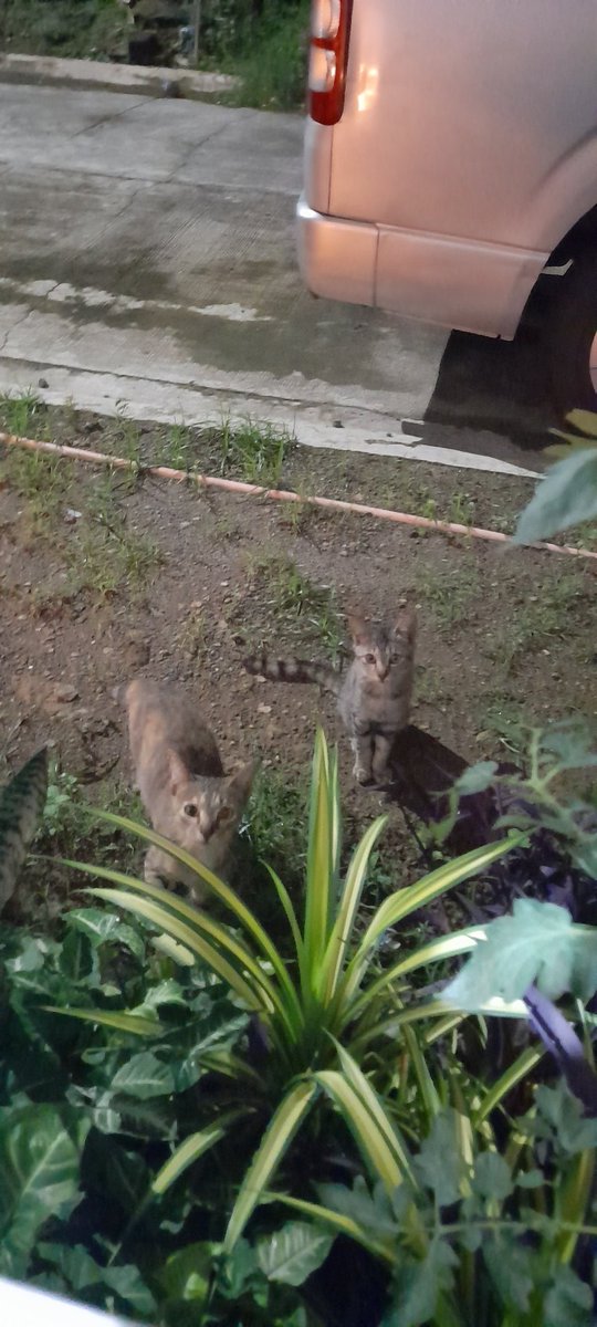 i miss you so much, bebe ko. i love you pls balik ka na