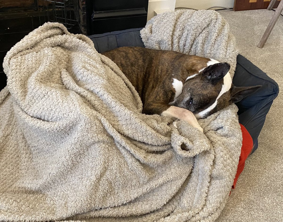 Always sleep with one eye open, lest you miss someone proffering a snack…