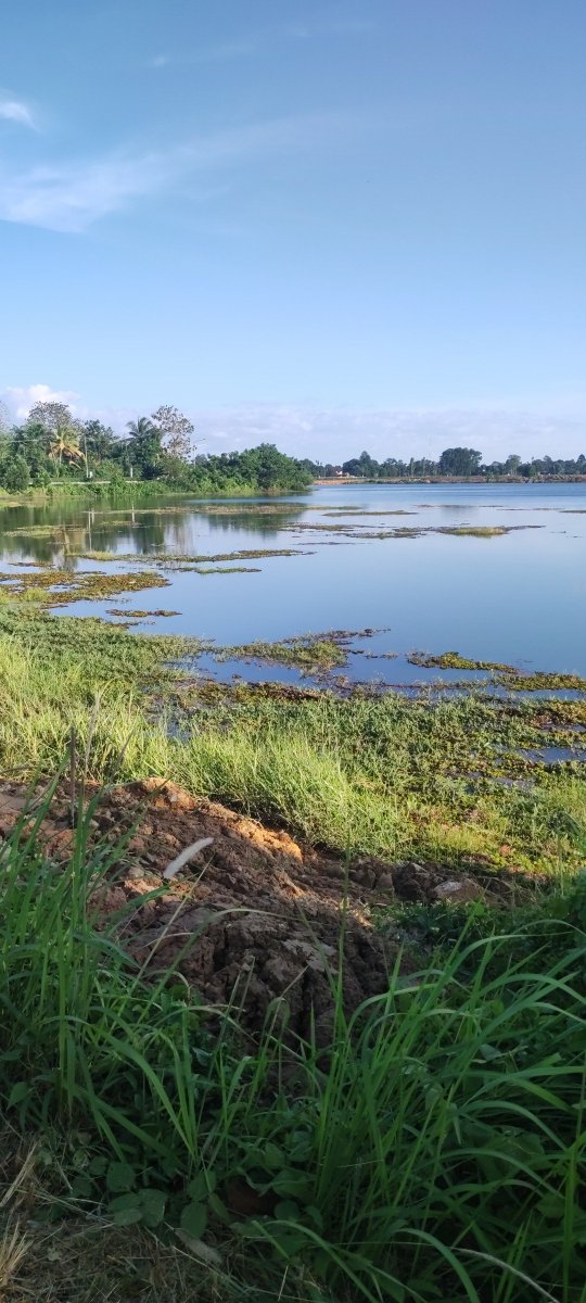 กลับจันท์ดีกว่า.   ตราดแมร่ง   น่าเบื่อจัด #ตราด #จันทบุรี