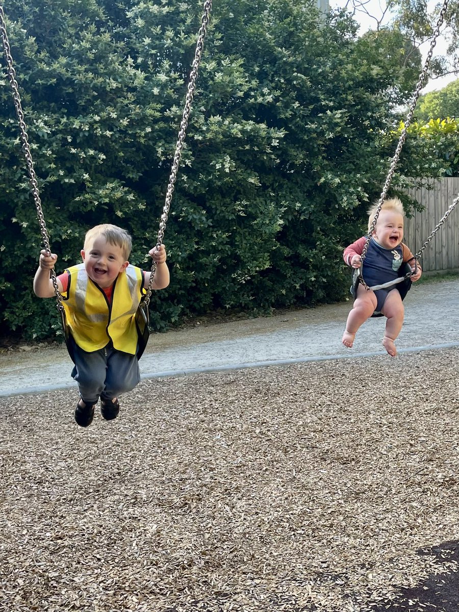 BarristerBaum's tweet photo. Swinging in the breeze. https://t.co/l1YF2gGafU