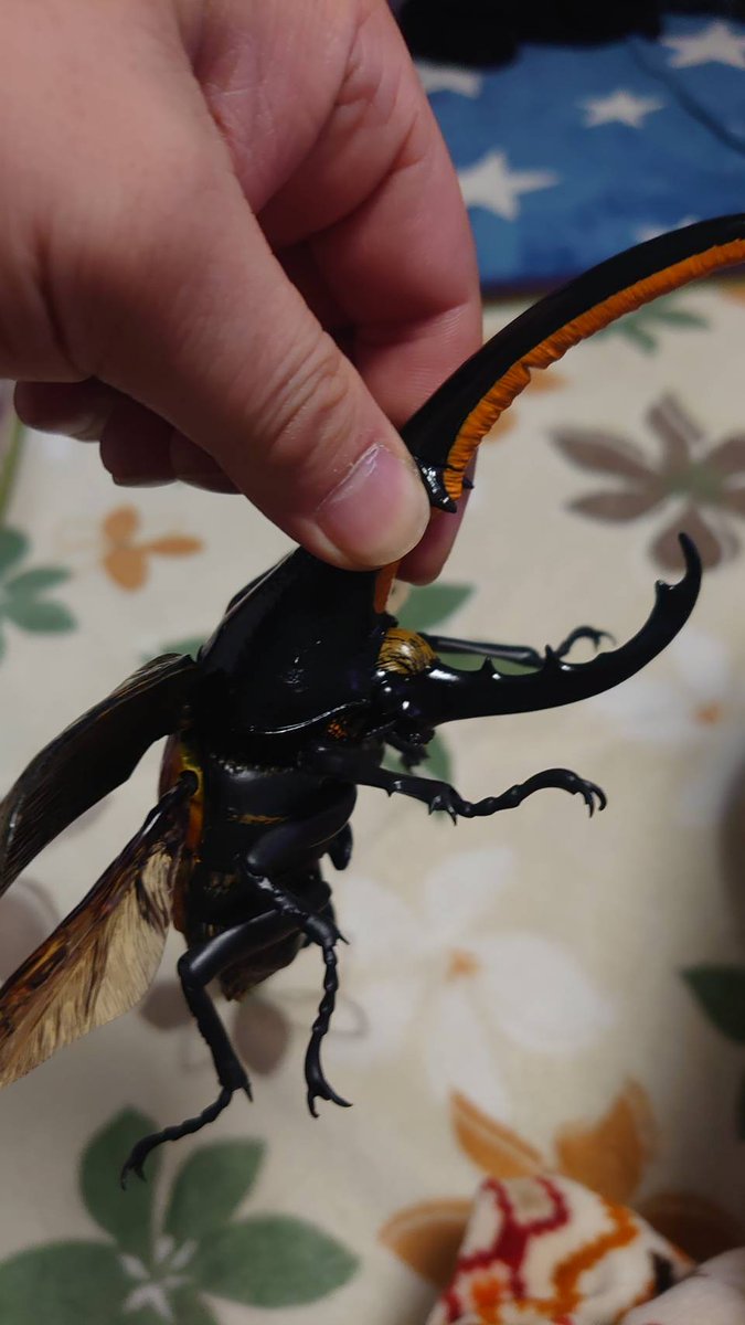 超リアル！！
ガチャポン１回1500円😏
３回もガチャしちゃった🤭
もっとガチャしたかったけど横で嫁が・・・😡