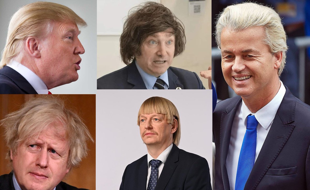 Why isn't there a discussion about all these nationalist, populist, right-wing politicians having such weird hair? What's the link there between the hair and their views? Somebody needs to look into this. (And I know I'm hardly one to cast aspersion on people's hair, but still..)