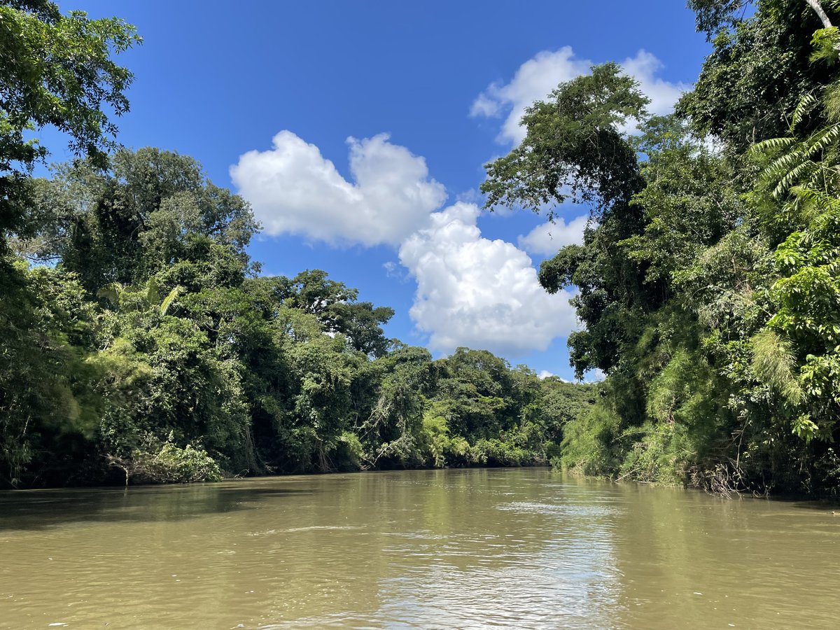 Miguel Jácome-Flores tweet media