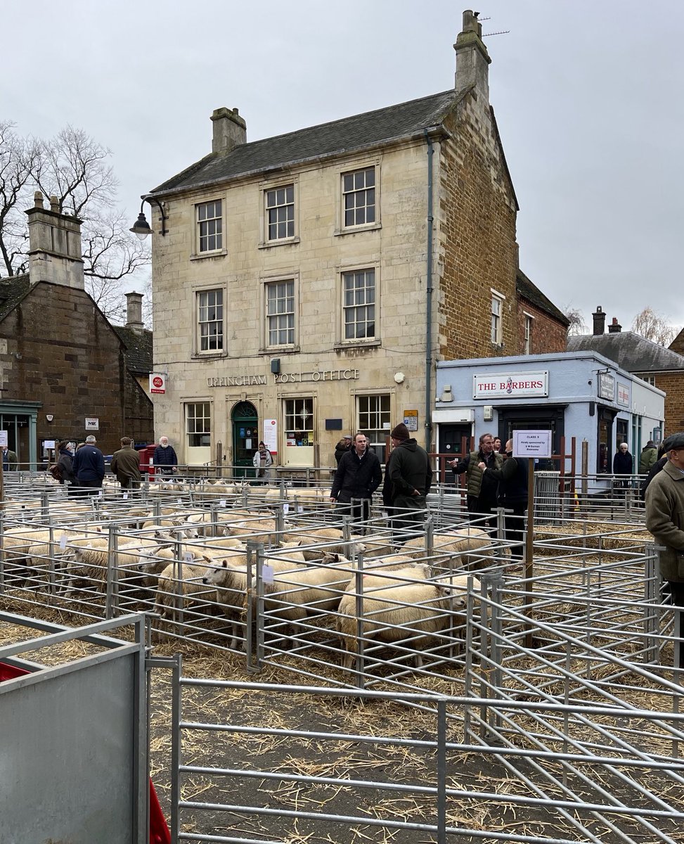 Uppingham livestock market yesterday. Never seen the town so busy! #Rutland #sheep #countryclothing