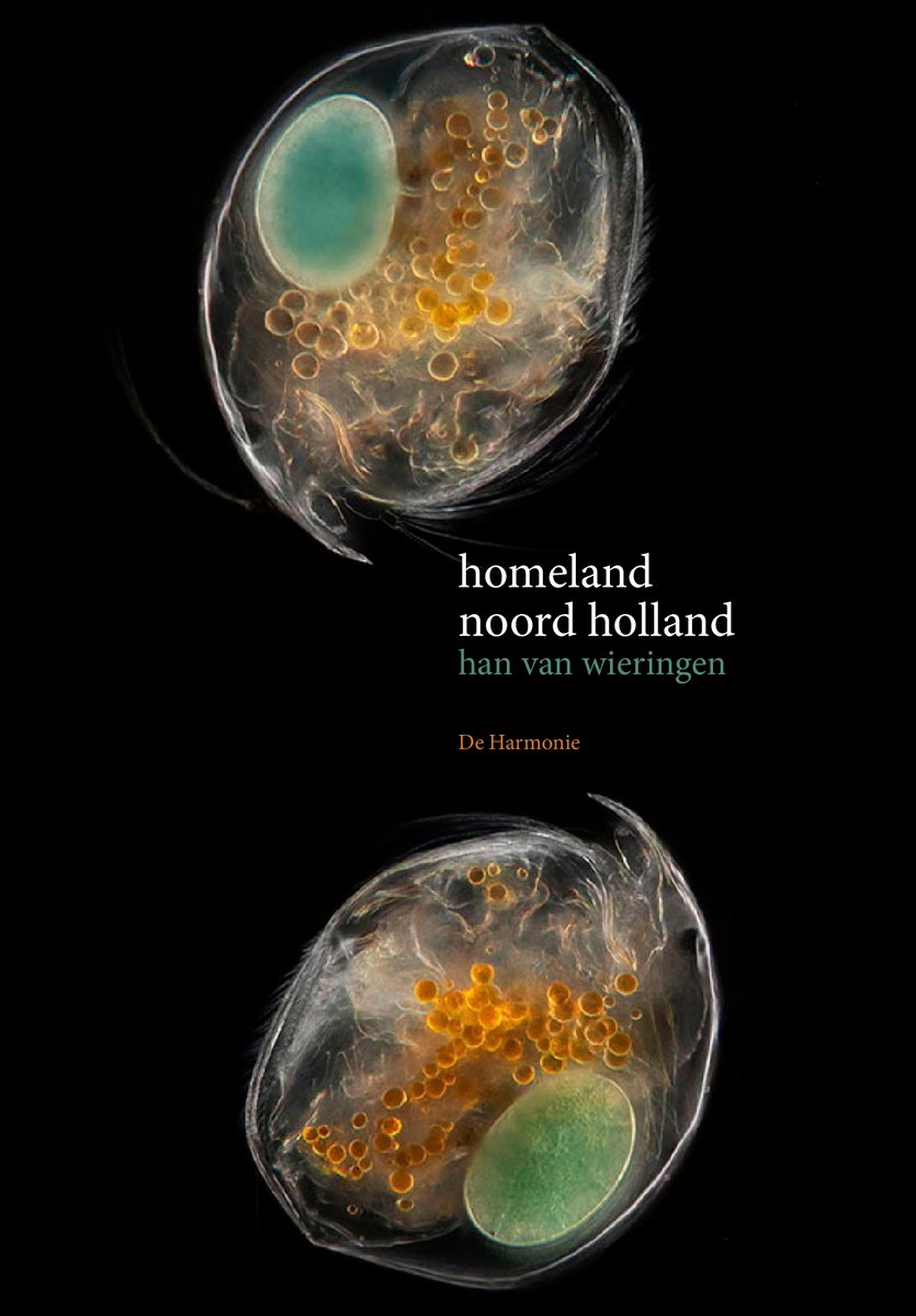 Boekenfragment: Homeland naar Holland  

Na bijna tien jaar, vele essays, kritieken, een korte roman en een hele trits toneelstukken, keert Han van Wieringen voor even terug naar de poëzie. Lees hier het fragment: boekenkrant.com/boekenfragment……

@leesclubvalles <a href="/uitg_deharmonie/">Uitgeverij De Harmonie</a>