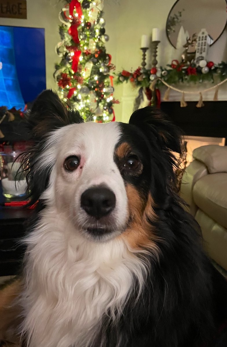 harryMAS20's tweet photo. Hey pals, Happy Thanksgiving! Tomorrow, we eat 🦃 https://t.co/kyt4CZR2Aj