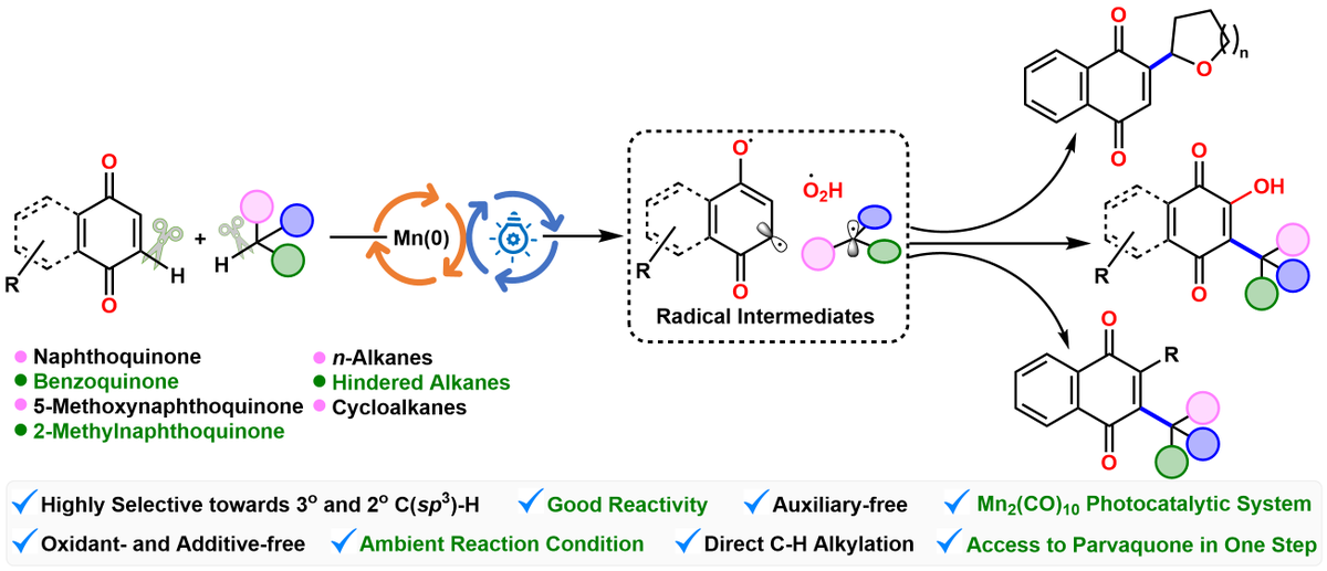 Light-driven selective functionalization of unreactive C-H bond of alkanes using Mn(0)-catalyst. Congrats @raushanjha2012 @KomalRohilla19 @SaketJa12507824 @D2010205 for publication in @ChemEurJ Thanks @iiserbhopal @chm_iiserb @serbonline @IndiaDST …mistry-europe.onlinelibrary.wiley.com/doi/abs/10.100…