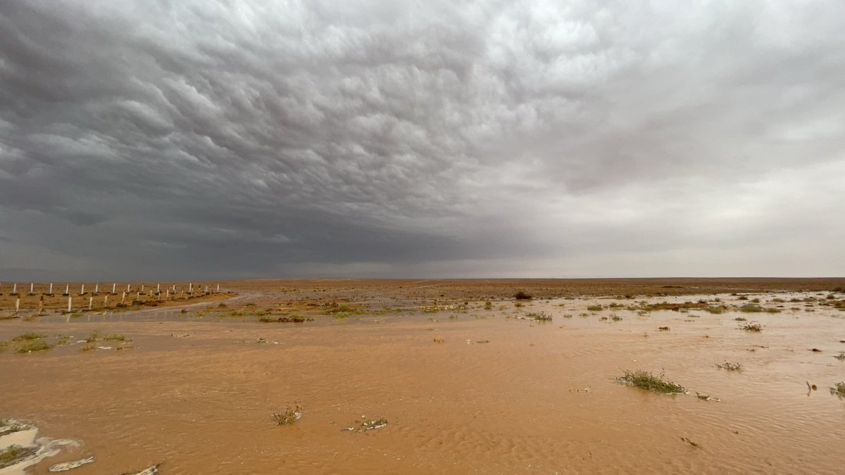 BargRafha's tweet photo. شعيب المناشبي جنوب رفحاء يوم الخميس ١٤٤٥/٠٥/٠٩هـ 

#رفحاء #عرعر #حفرالباطن #مكشات #طقس #برق_رفحاء https://t.co/1ByCCRnQj8