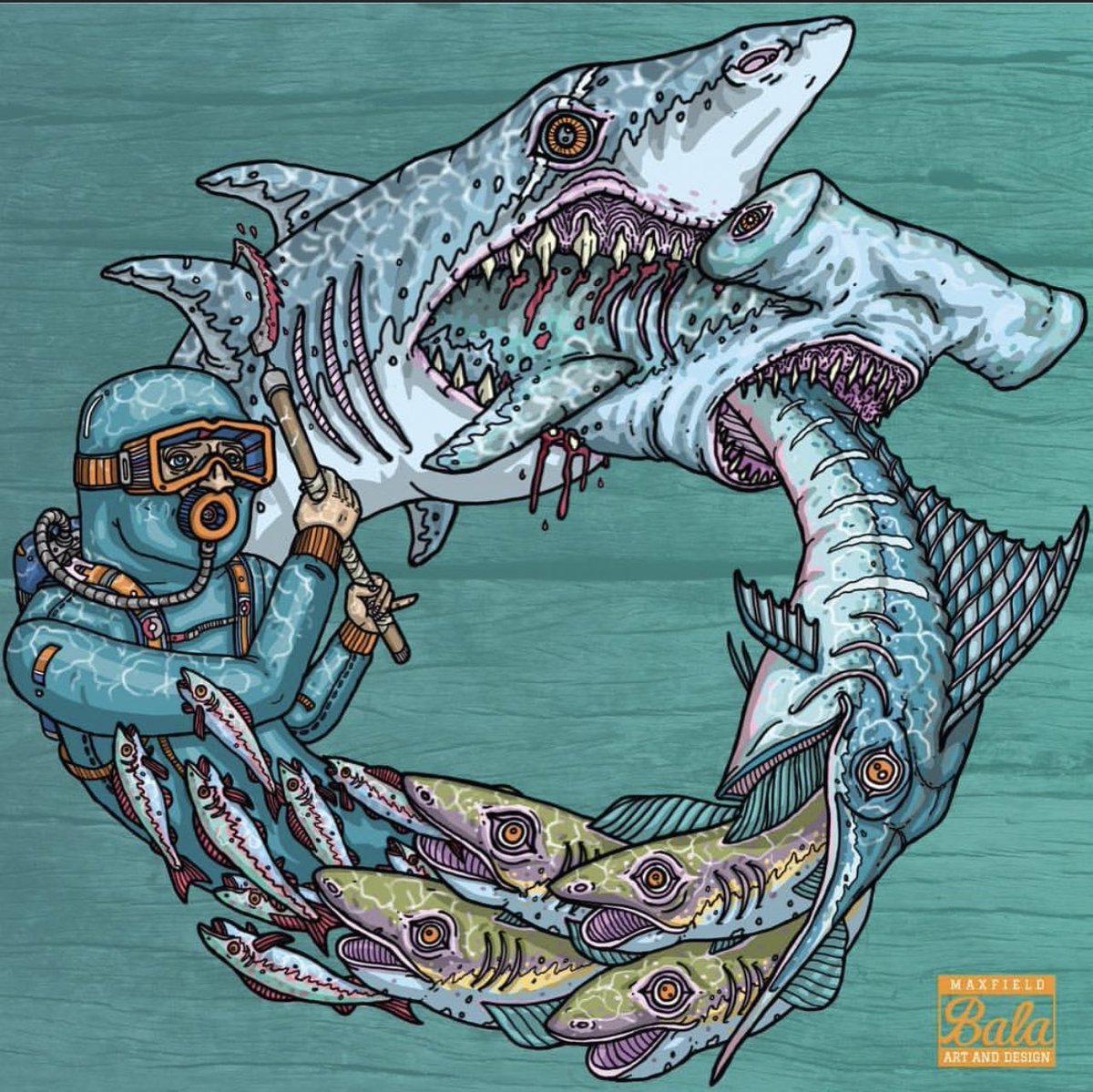 Maxfield Bala tweet media