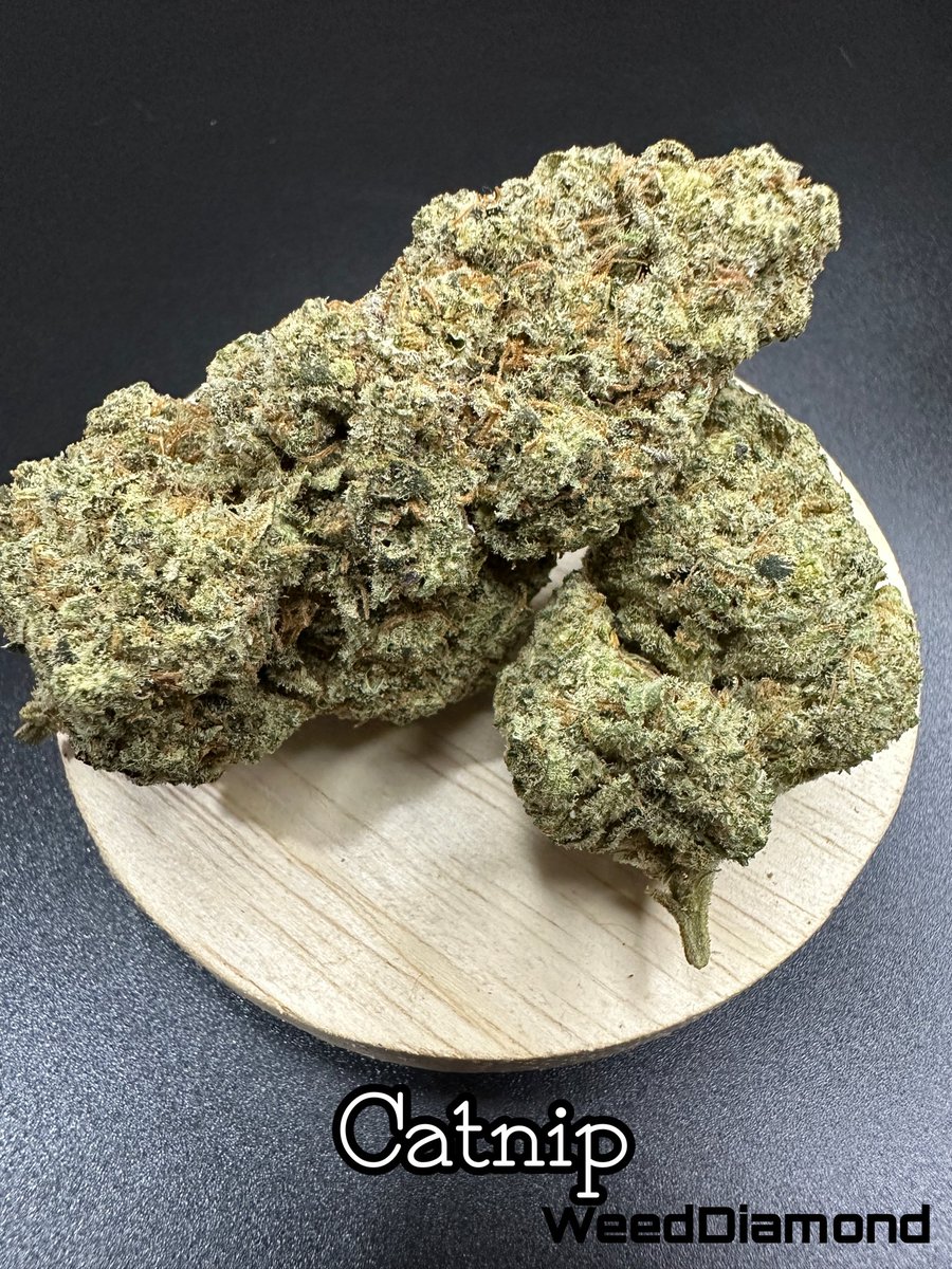 WeedDiamond24's tweet photo. Catnip🐱
Oreo Big Stuff🍪
2️⃣0️⃣0️⃣/G
https://t.co/MBbgibRYo0
#กัญชา #กัญชาog #กัญชาออแกนิค #กัญชากทม #กัญชากรุงเทพ #กัญชาบางแค #กัญชาหลักสอง #กัญชาเพชรเกษม #กัญชาพระราม2 #กัญชาราคาถูก #ขายกัญชา https://t.co/v6fnUne4n9