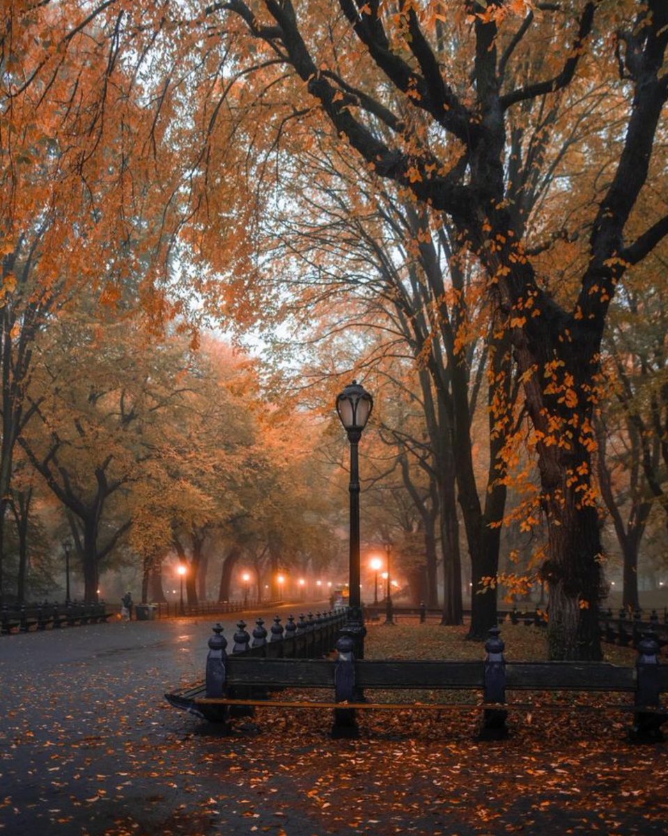 “Autumn shows us how beautiful it is to let things go.”