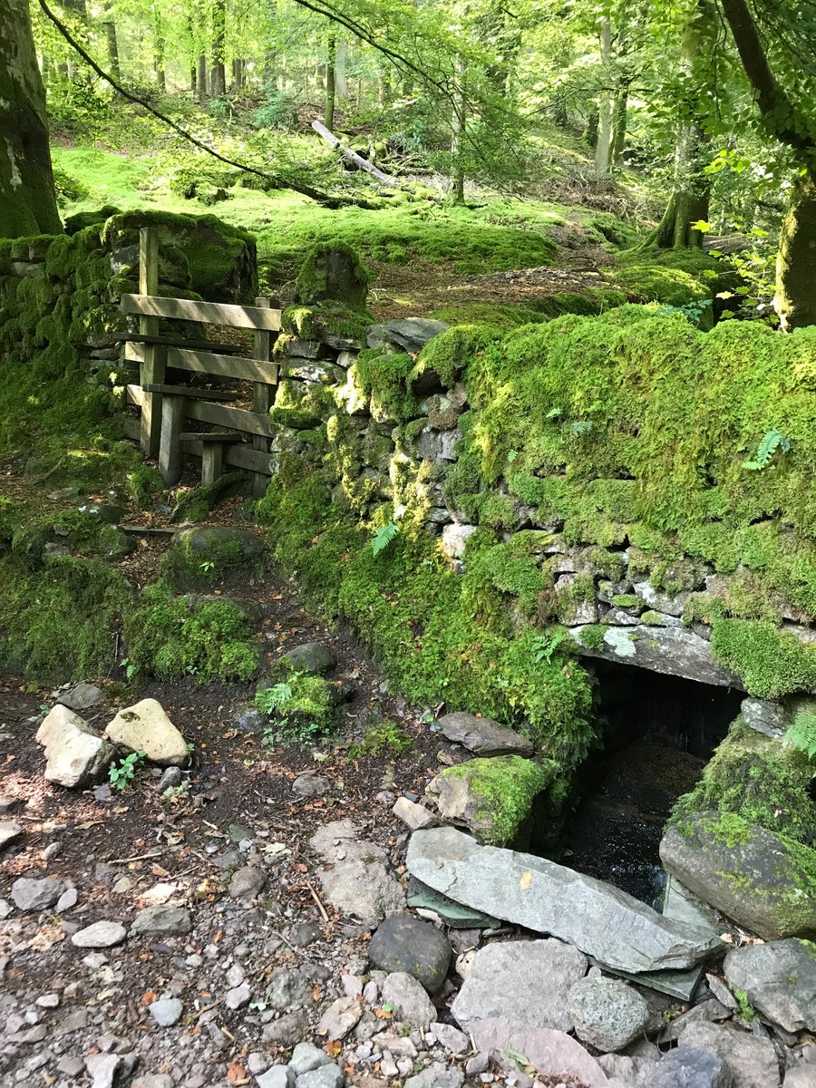 elizabeth tutty (@tutty352) on Twitter photo <a href="/LakesStiles/">Stiles</a> <a href="/tismenic70/">Nic J</a> <a href="/Soapy_Wit_Tank/">soapy of the swans™</a> <a href="/LordOrk/">JELLY HEAD</a> <a href="/ProjectWHYUK/">PWUK</a> <a href="/Yeti98_/">Randy Coleman</a> <a href="/CharlesBewley2/">Charles Bewley</a> <a href="/RuthRendell1/">Mark Rendell</a> <a href="/LansdellMum/">Susan Lansdell</a> <a href="/ceadela/">Ann Gate</a> Morning Stiles. Lovely photo. The light….👌💚
Into the woods with spring, Grasmere. <a href="/LakesStiles/">Stiles</a> <a href="/tismenic70/">Nic J</a> <a href="/Soapy_Wit_Tank/">soapy of the swans™</a> <a href="/LordOrk/">JELLY HEAD</a> <a href="/ProjectWHYUK/">PWUK</a> <a href="/Yeti98_/">Randy Coleman</a> <a href="/CharlesBewley2/">Charles Bewley</a> <a href="/RuthRendell1/">Mark Rendell</a> <a href="/LansdellMum/">Susan Lansdell</a> <a href="/ceadela/">Ann Gate</a> Morning Stiles. Lovely photo. The light….👌💚
Into the woods with spring, Grasmere.