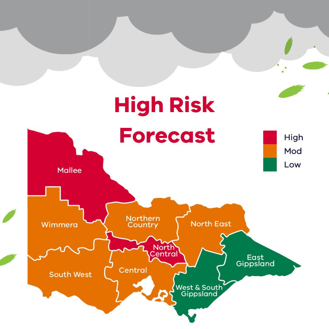 A high risk of epidemic thunderstorm asthma has been forecast for tomorrow in Mallee &amp; North Central Victoria.

Stay up to date at @VicEmergency: emergency.vic.gov.au/respond/