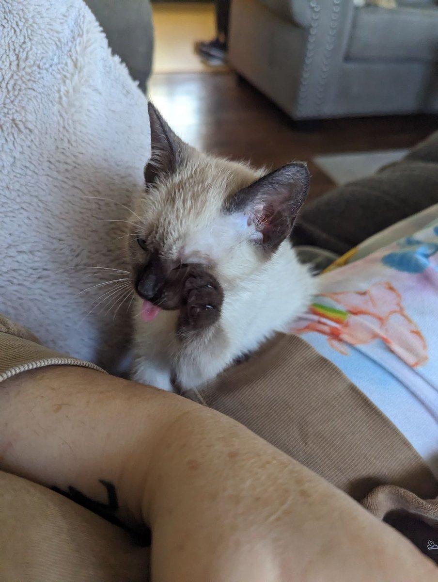 Blythe Melin tweet media