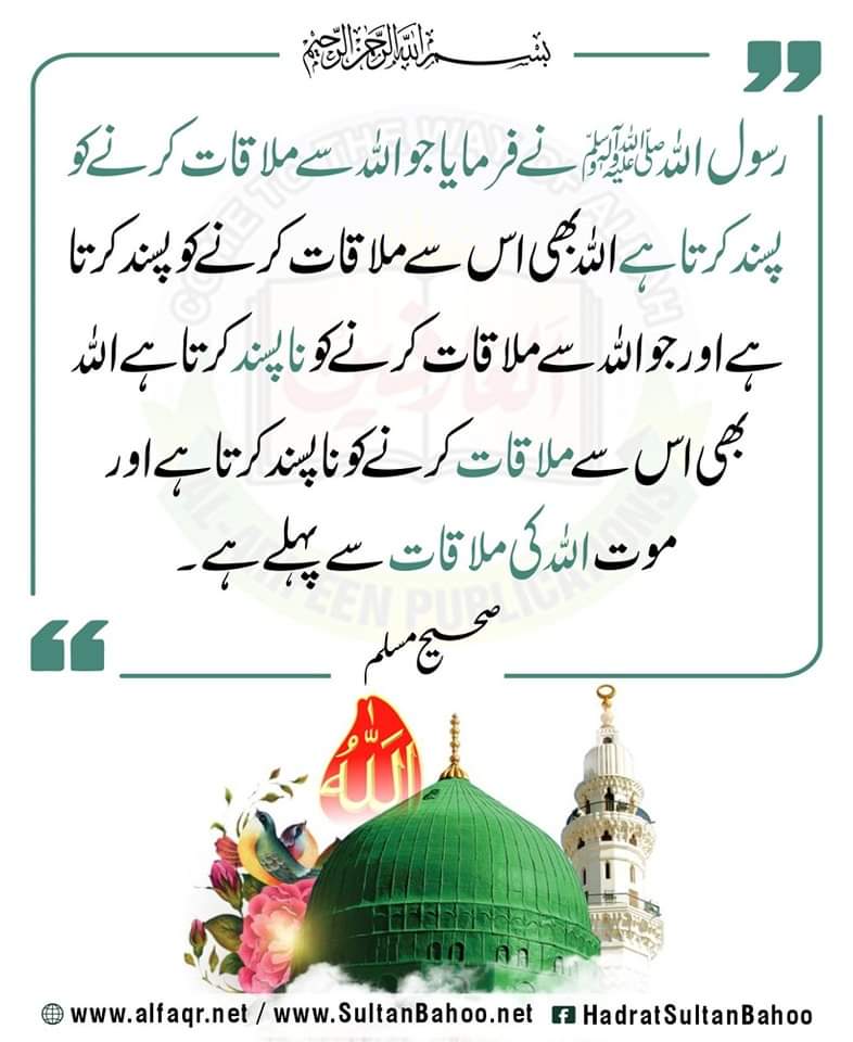 Allah's Messenger (صلی اللہ علیہ وآلہ وسلم) as saying: He who loves to meet Allah, Allah also loves to meet him, and who dislikes to meet Allah, Allah abhors to meet him. There is death before (one is able to) meet Allah.
Sahih Muslim

alfaqr.net