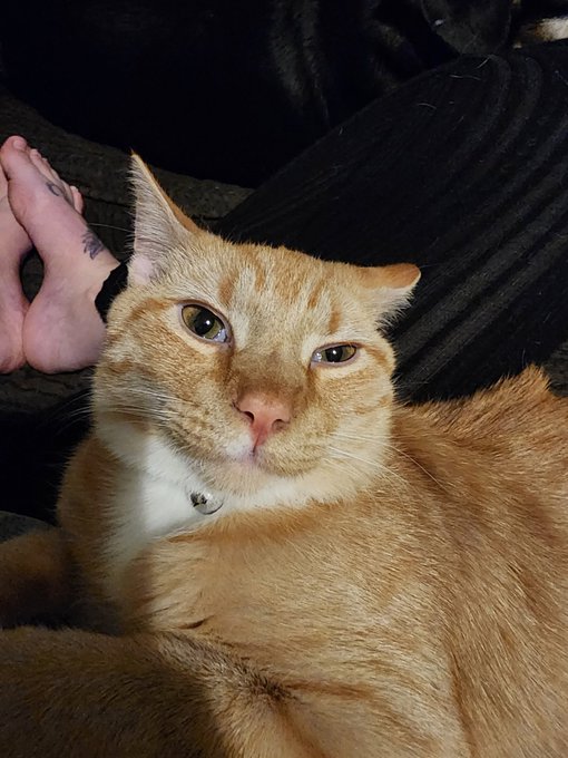 Butters says "Happy Thanksgiving!" https://t.co/DjakALAaBg<a href="/tag/realloyalfans"class="tags"><span>#realloyalfans</span></a>