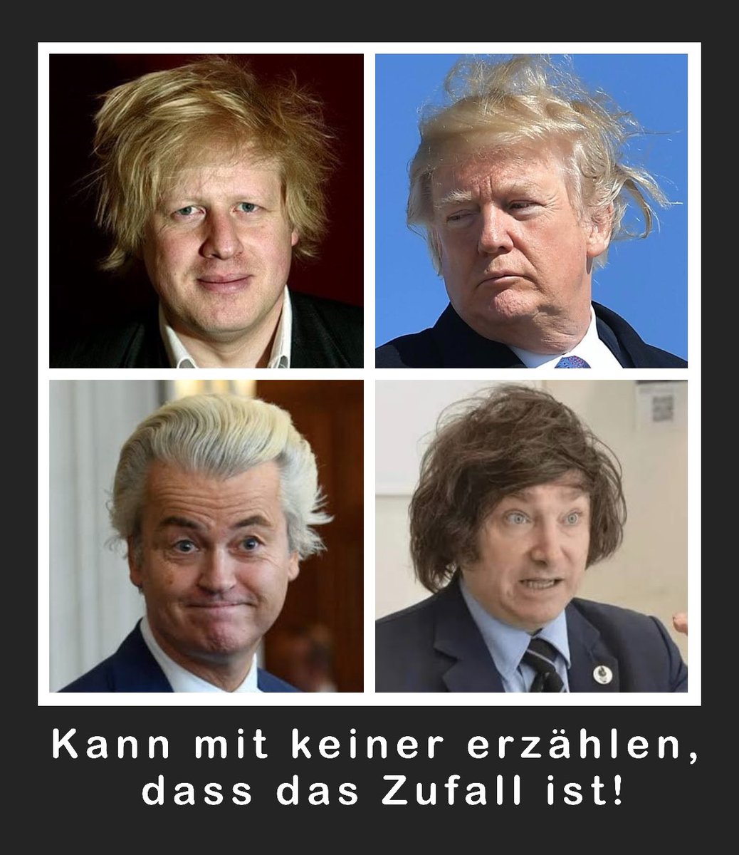 Bekloppte und ihre Frisuren. #Wilders #Milei #Trump #Johnson