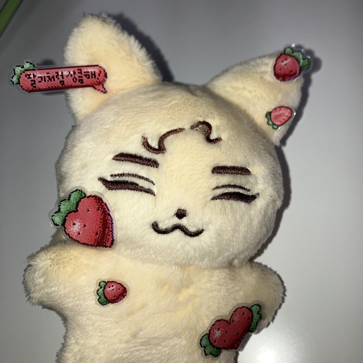 RickyCat0520's tweet photo. 맄냥이가 무사히 도착했습니다💘
배송대행을 통해 25일 출고예정입니다! https://t.co/aC13Fy1XtJ