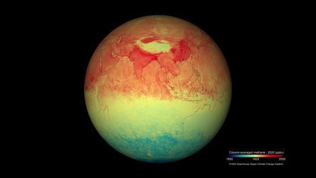 Novum Intelligence tweet media