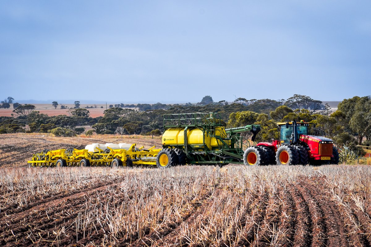 Seed Storm tweet media