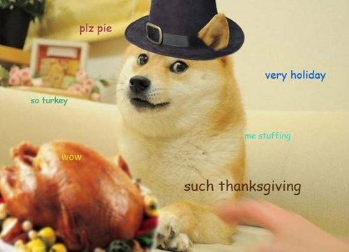 DogecoinNorway's tweet photo. Thursday the of magic🔥 happy thanksgiving to my american friends! Memba not to fck up ur turkey and smile tonight😁 https://t.co/1v5ry1siAj