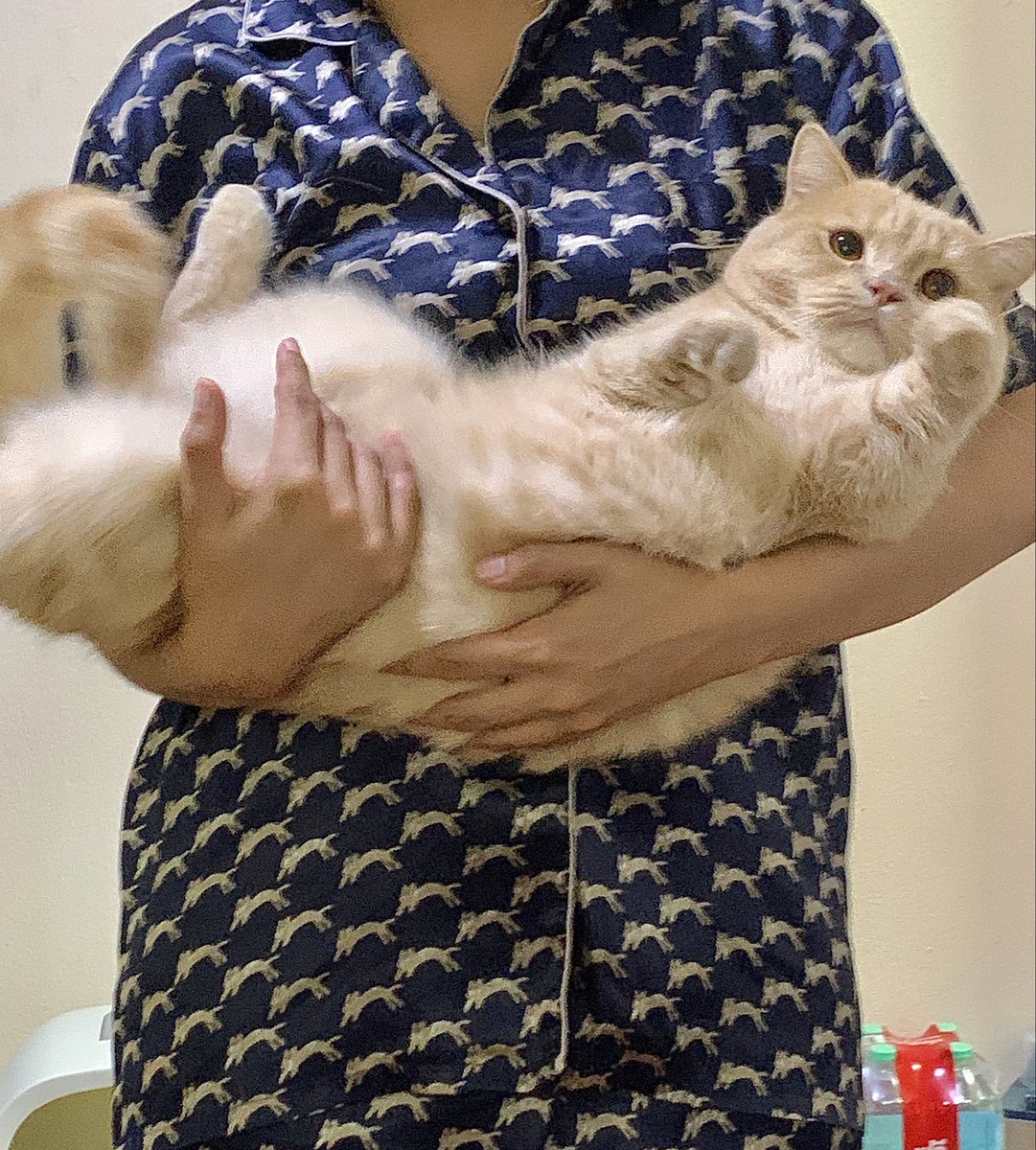 เค้ายังเร้กอยู่เลย🥺 ติดแม่ ชอบให้แม่อุ้ม พูดลงท้ายด้วยคับทุกคำ แทนตัวเองว่าป้อง🥺