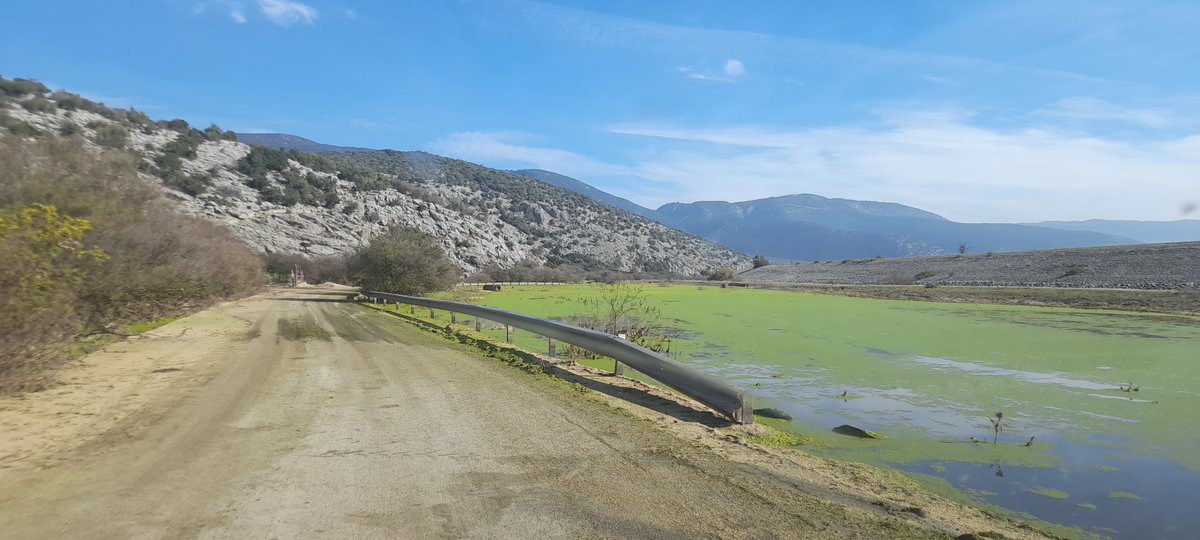 sta_poly's tweet image. Και κάπως έτσι, ο κάμπος της Λάρισας στα ανατολικά του όρια συναντήθηκε με την ιστορία της λίμνης Κάρλας ξανά.
Ίσως και να αποτραβηχτούν τα νερά κάποια μέρα, ίσως και όχι...

#Θεσσαλια #κακοκαιρία_Daniel #Κάρλα