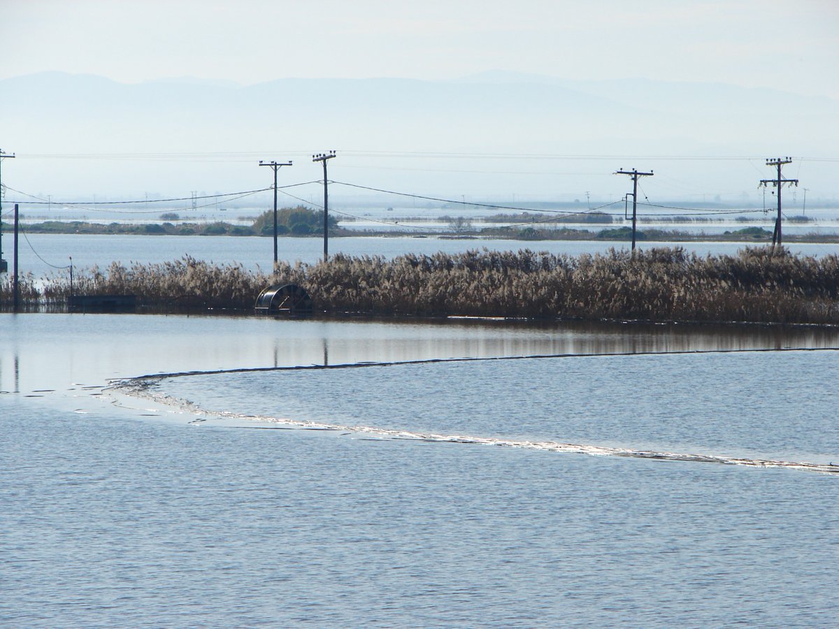 sta_poly's tweet image. Και κάπως έτσι, ο κάμπος της Λάρισας στα ανατολικά του όρια συναντήθηκε με την ιστορία της λίμνης Κάρλας ξανά.
Ίσως και να αποτραβηχτούν τα νερά κάποια μέρα, ίσως και όχι...

#Θεσσαλια #κακοκαιρία_Daniel #Κάρλα