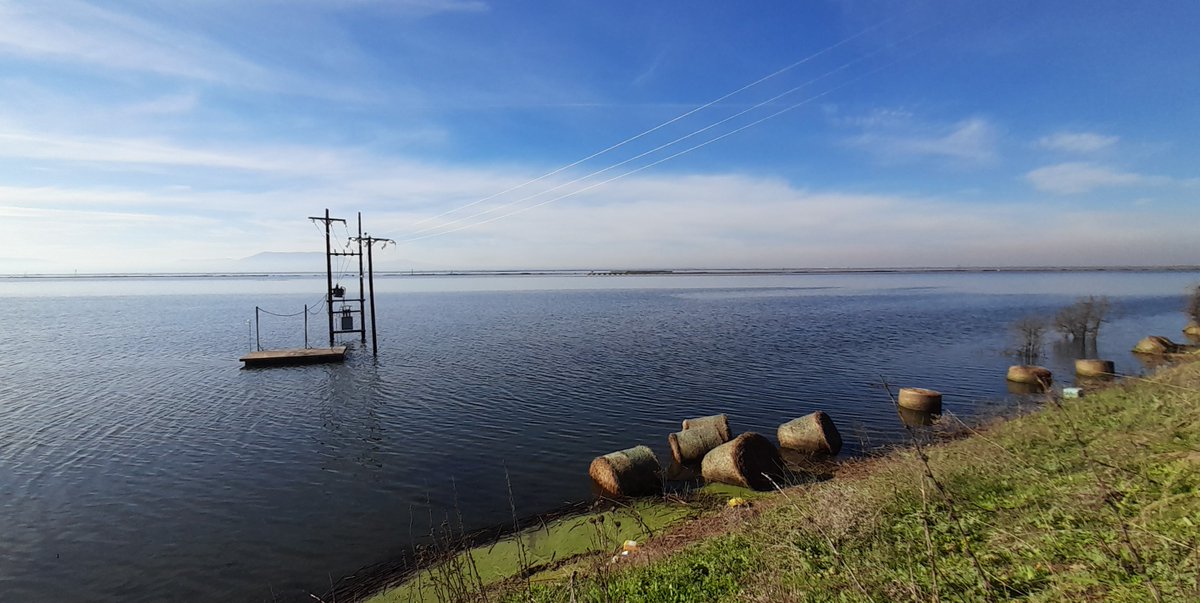 sta_poly's tweet image. Και κάπως έτσι, ο κάμπος της Λάρισας στα ανατολικά του όρια συναντήθηκε με την ιστορία της λίμνης Κάρλας ξανά.
Ίσως και να αποτραβηχτούν τα νερά κάποια μέρα, ίσως και όχι...

#Θεσσαλια #κακοκαιρία_Daniel #Κάρλα