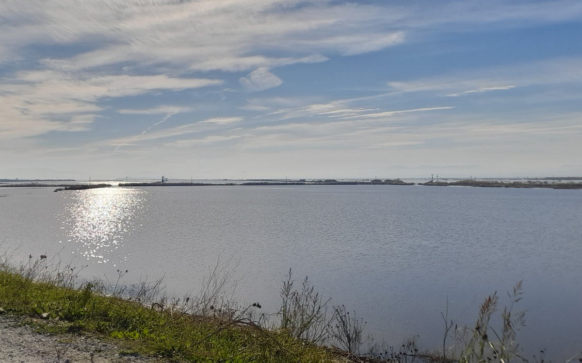 sta_poly's tweet image. Και κάπως έτσι, ο κάμπος της Λάρισας στα ανατολικά του όρια συναντήθηκε με την ιστορία της λίμνης Κάρλας ξανά.
Ίσως και να αποτραβηχτούν τα νερά κάποια μέρα, ίσως και όχι...

#Θεσσαλια #κακοκαιρία_Daniel #Κάρλα