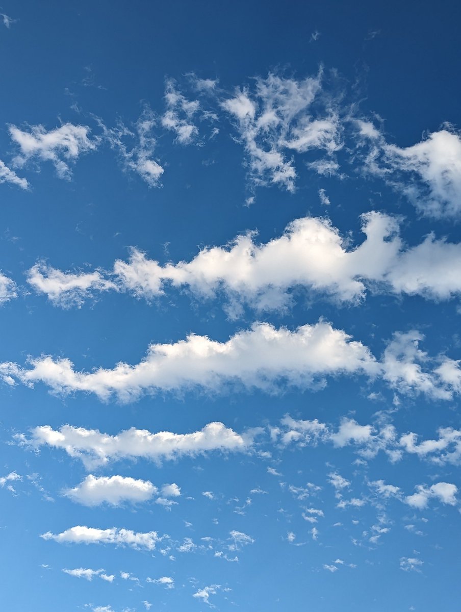 PellePetite's tweet photo. #イマソラ https://t.co/7o0KVojweD