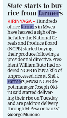'The State starts to buy rice from farmers. Hundreds of rice farmers in Mwea have heaved a sigh of relief after the National Cereals and Produce Board (NCPB) started buying their produce following a presidential directive.' @NCPB_KE @kilimoKE @mithika_Linturi @StateHouseKenya