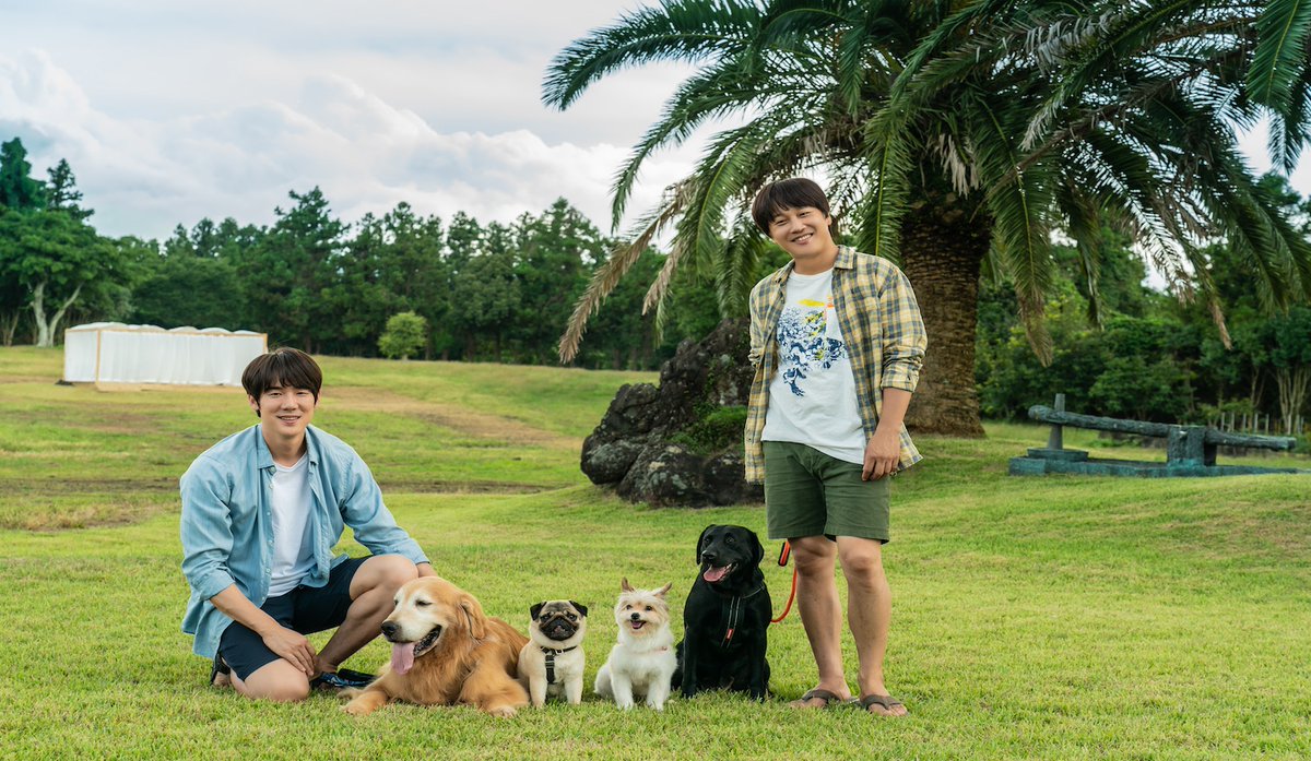 impactfilmindia's tweet photo. MY♥️PUPPY by Jason Kim; an uplifting & inspirational Korean film about relationships-family,friends & unconditional love for pets.
Now streaming on @PrimeVideoIN in Korean, Hindi, Tamil & Telugu
#petlover #koreanfilm #MyLovePuppy #jasonkim #YooYeonSeok #KimYooJung #ChaTaehyun https://t.co/dAWpImXTBQ
