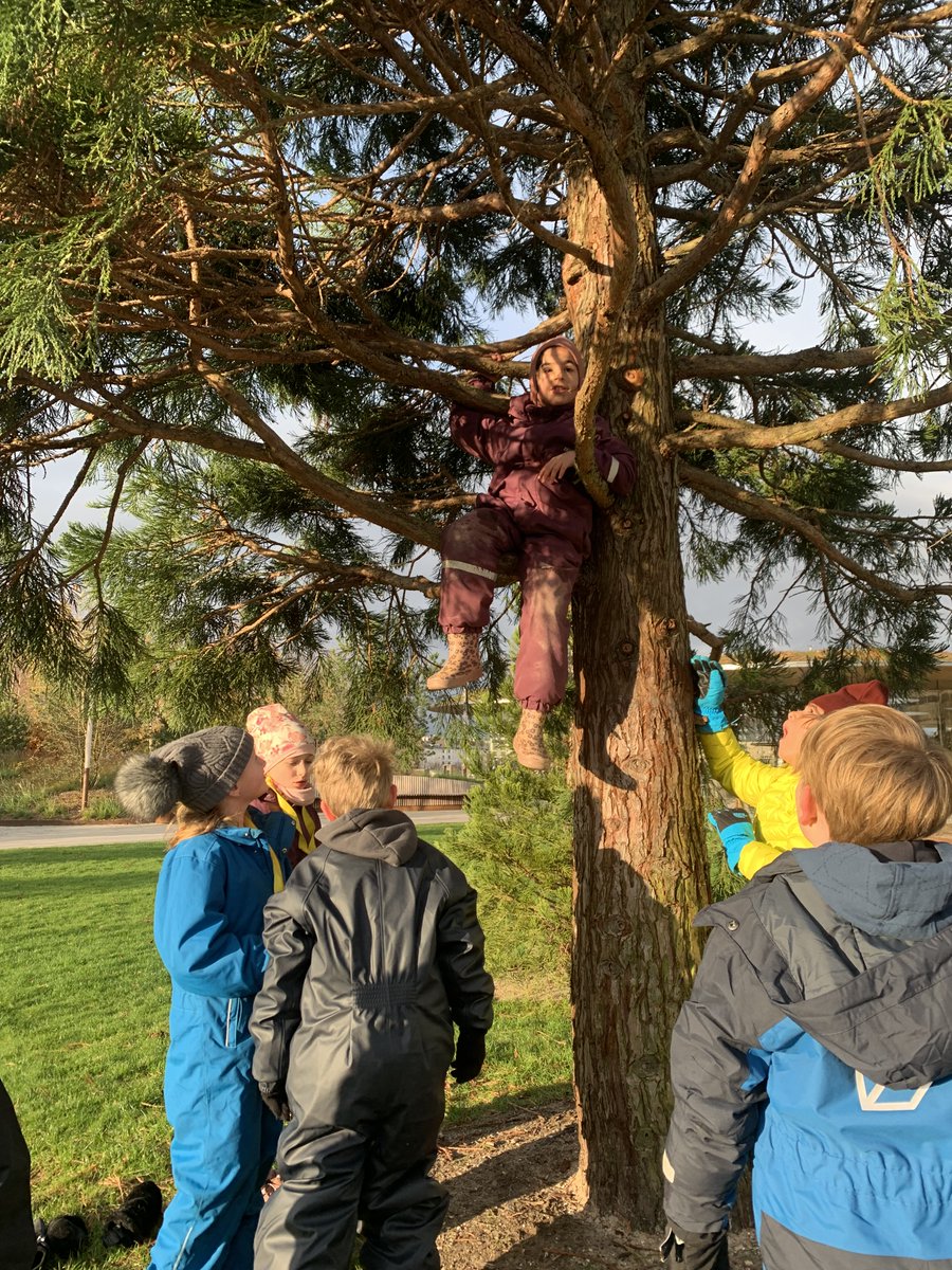 Copenhagen International School tweet media