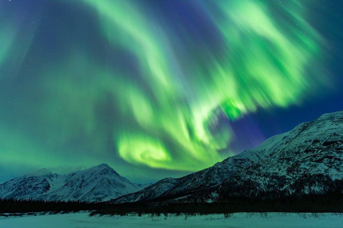 Vincent Ledvina tweet media