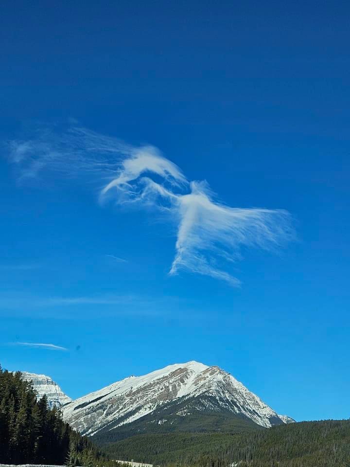 Near Lake Louise, Canada.