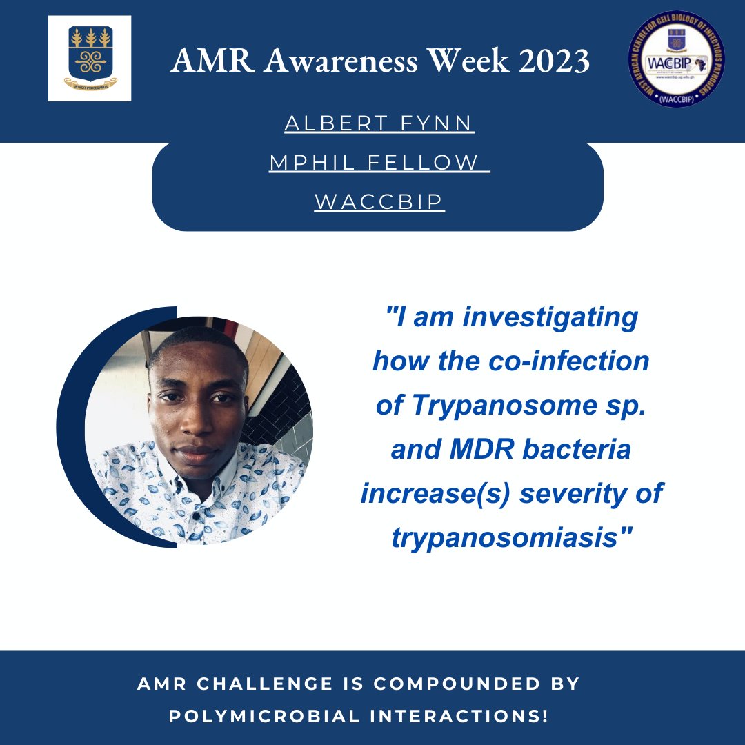 AMR_WACCBIP's tweet photo. #AMR Fighter 5 #WAAW2023 #WAAW23 
.
@_AlbeezyGH, MPhil Fellow @WACCBIP_UG is investigating the co-infection of #Trypanosome sp. &amp; #MDR bacteria in sick #cattle. He's confident we can control the spread of #superbugs. @gordon_awandare @UnivofGh @GHABSA_UG @AMRNowKe @ukbiofilms https://t.co/zoBTq7B1jV