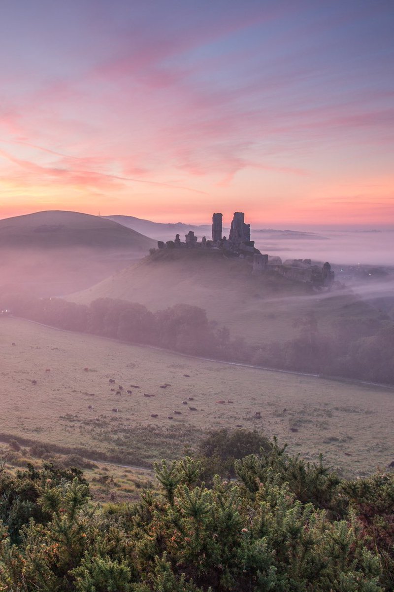 𝐌𝐚𝐭𝐭 𝐏𝐢𝐧𝐧𝐞𝐫 tweet media