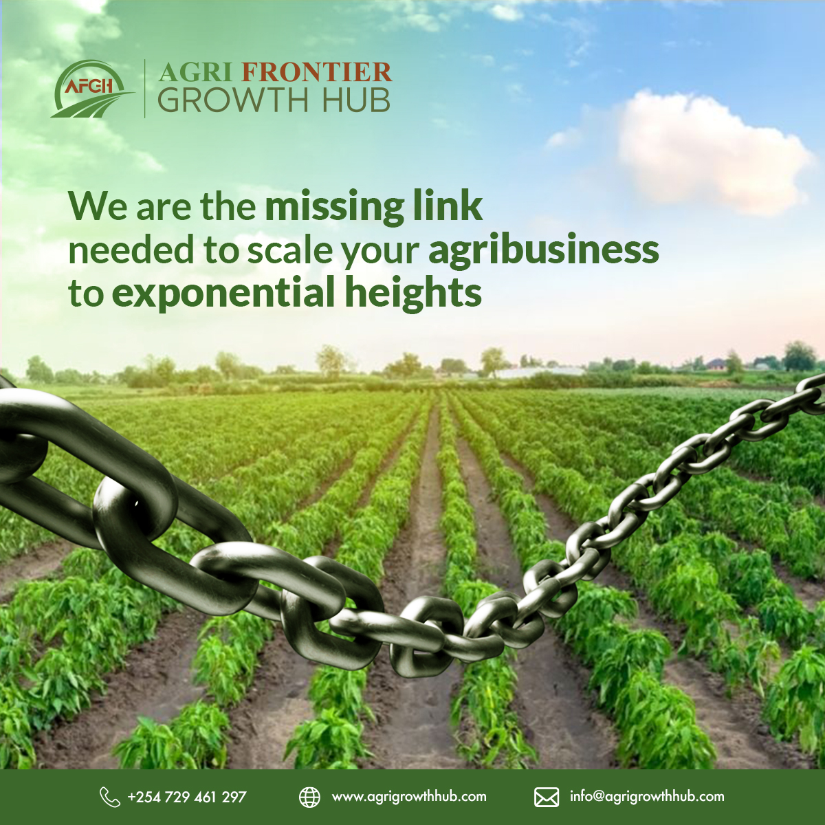 agrigrowthhub's tweet image. For more information on how to qualify for our support. Contact us at:  
Email: info@agrigrowthhub.com 
 Call / WhatsApp: +254 799 461 297  
Or visit our website for more details. agrigrowthhub.com

#agrigrowthhub #agrifinancing #agribusiness