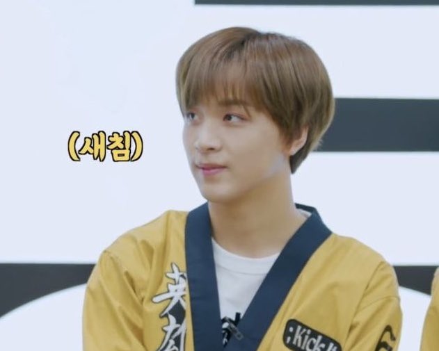 새침데기
요조숙견

해찬쨩