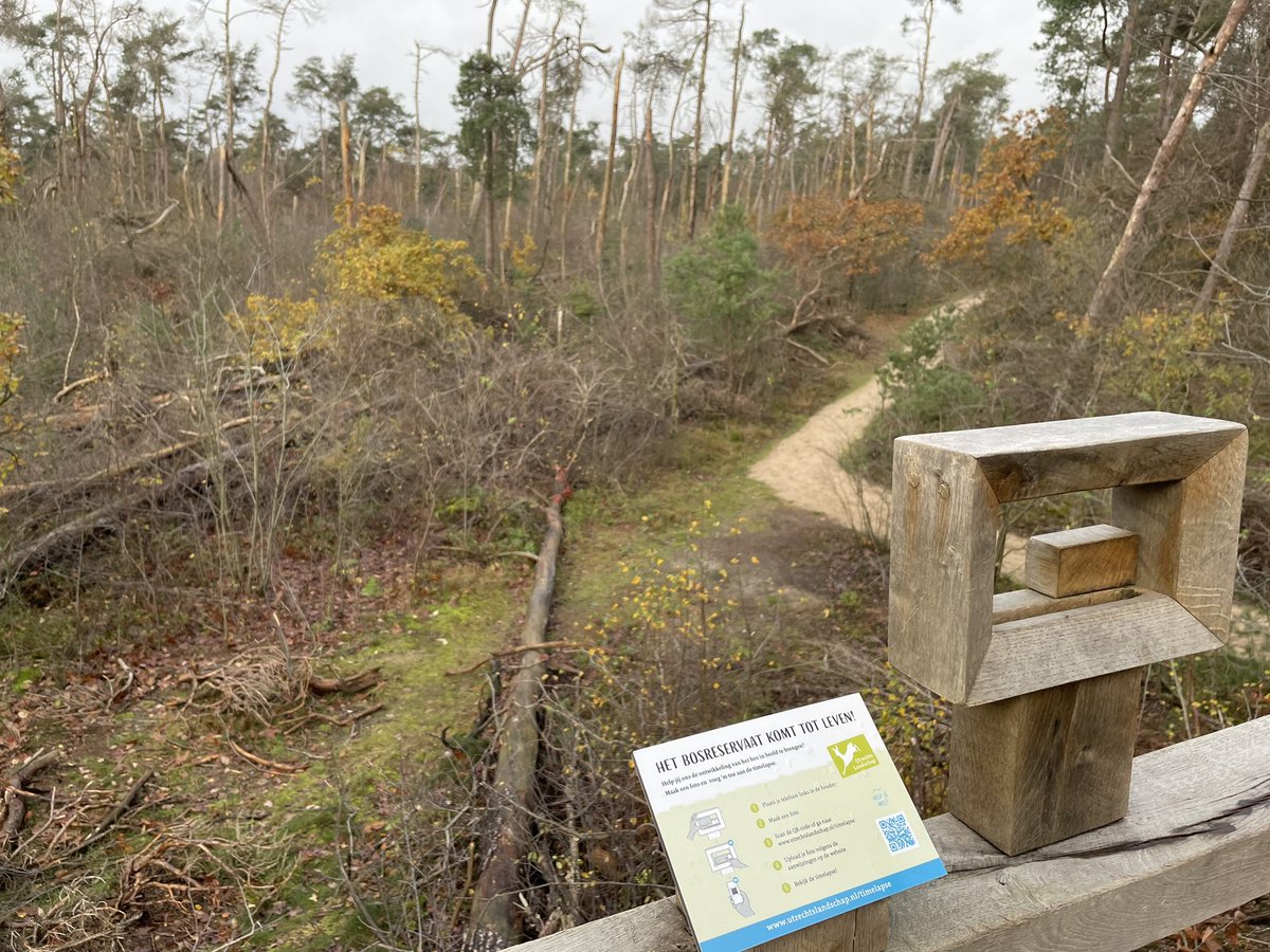 Groenehartstoc1's tweet photo. De #storm van verkiezingen laat een ravage achter in de 2e kamer. Hopelijk brengt het ons iets nieuws met kansen voor de toekomst.
Wij waren bij #stormpad #Breeveen, hier groeit inmiddels ook weer een nieuw bos na een heftige storm. @UtrLandschap https://t.co/rbtOFTgCz0