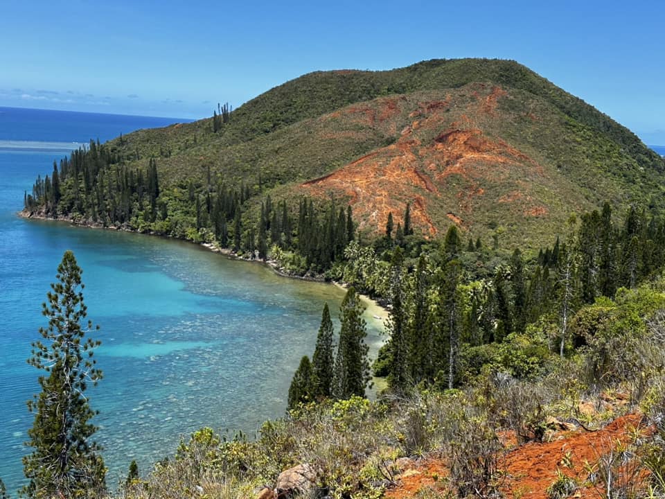 Bird Conservation New Caledonia tweet media