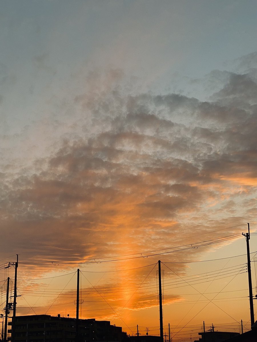 よしたく POPparts_YOXi1-scaled.jpg